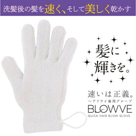 砂山靴下｜Sunayama Socks ヘアドライグローブ BLOWVE（ブローブ） 6231CA-02