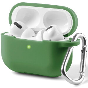 �A�C�L���[���{�biQ Labo AirPodsPro(��2/1����)�P�[�X �V���R���P�[�X �J���r�i�t�� �O���[�� APP-SL2-GR