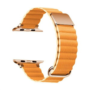 �A�C�L���[���{�biQ Labo Apple Watch 41/40/38mm�p ���U�[�}�O�l�b�g�x���h �}�X�^�[�h IQ-AW003B41-MA