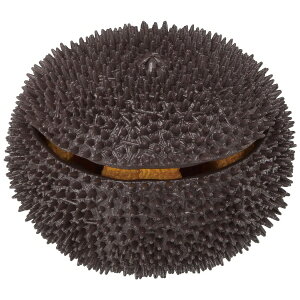 KnEXbMegaHouse ̃pYLite ɃpY