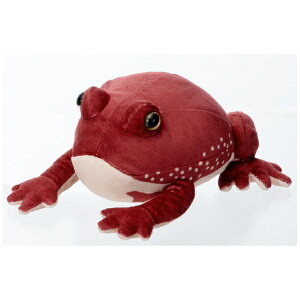 CbIWAYA GRRGJGiAtNKGj