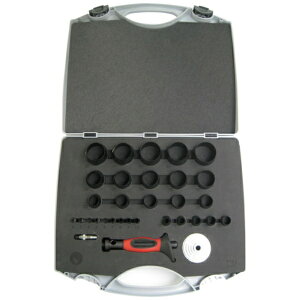 RACODONbRh BOEHM@|`@29Zbg RJ250P