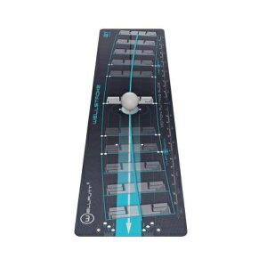 Wellputt�b�E�F���p�b�g �S���t �p�b�e�B���O���K��� �E�F���X�g���[�N �A�[�N 21 Wellstroke Arc 21