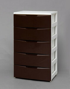 IRIS OHYAMAbACXI[} Ch`FXg 5i M[^CvizCg&uE/55×s41×99.5cmj