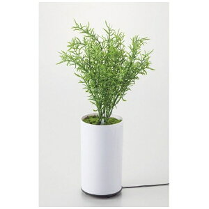 CVObISHIGURO O[fBt[U[ ^CvB 70091 [g]