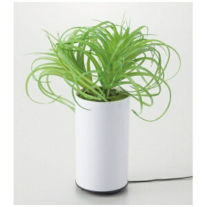 CVObISHIGURO O[fBt[U[ ^CvC 70092 [g]