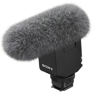 SONYb\j[ VbgK}CNz ECM-B10