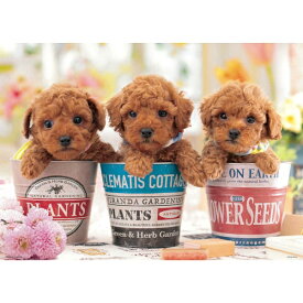 ビバリー｜BEVERLY ジグソーパズル　P66-225　こいぬの気持ち