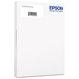 エプソン｜EPSON 申請・届出書顧問R4 追加1ユーザー Ver.22.1 帳票改正対応版 [Windows用]