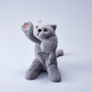 LOWbKING JIM y|[` Pouzoo(|[Y[) lR PZ2020