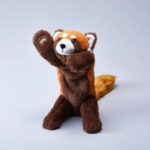 LOWbKING JIM y|[` Pouzoo(|[Y[) bT[p_ PZ2024