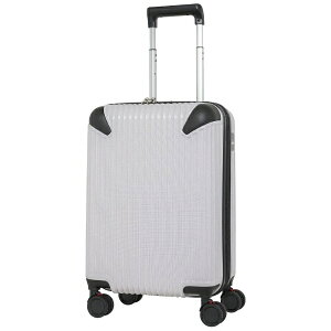 SPALDING�b�X�|���f�B���O �T�X�y���V�����t�� �L�����[�P�[�X S�T�C�Y �z���C�g�J�[�{�� SP-0836-49-WHC [TSA���b�N����]