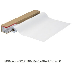 CANONbLm kCNWFbgl[ tHgHG  170g/m2 [1067mmx30m /1] 42C` LFM-SGH/42/170