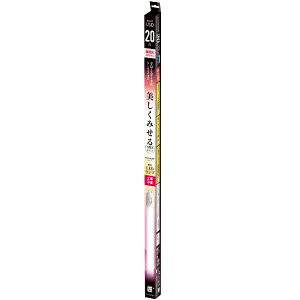 ecoricabGRJ ǌ`LEDv Hsv O[X^[^iFLupjFRa95 ECL-LG20YN-RL [G13 /20` /F /1{]