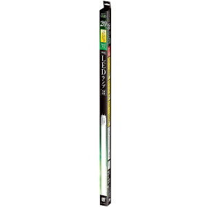 ecoricabGRJ ǌ`LEDv Hsv O[X^[^iFLupj ECL-LG20YN [G13 /20` /F /1{]