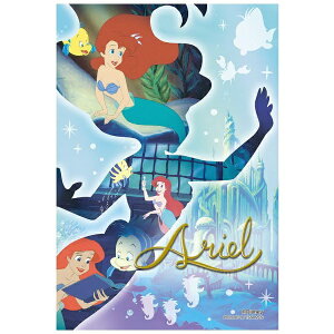 ̂܂bYANOMAN WO\[pY vYv` 97-273 Silhouette Memory -AG-