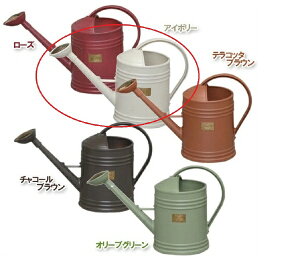 IRIS OHYAMAbACXI[} ueBbVEH[^[|bg AC{[ BTW-36