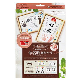 シヤチハタ｜Shachihata 命名紙制作キット あかインキセット HPSM-A4/H-R