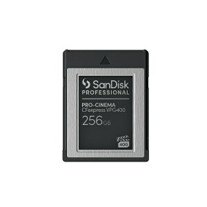 SanDiskbTfBXN SanDisk Professional PRO-CINEMA CFexpress VPG400 Type-BJ[h 256GB SDPCVN4-256G-JNANN SDPCVN4-256G-JNANN [256GB]