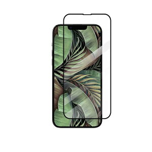 MagEasy�b�}�O�C�[�W�[ iPhone 14 Plus 6.7�C���` �K���X�t�B����MagEasy Vetro 9H for iPhone �i2022�j 6.7inch 2Lens �iClear�j ME-INBSPEGV9-CL