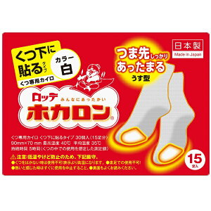 ���b�e�blotte �z�J���� �����ɓ\��^�C�v 15���� ��
