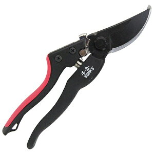 gbZL` GF WObv SGFP-5