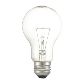 オーム電機｜OHM ELECTRIC 白熱電球 E26 100W形 クリア 2個セット LB-D66100C-2PN [E26 /一般電球形 /100W相当 /電球色 /2個 /全方向タイプ]