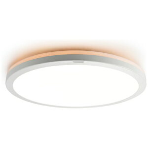 ���ŁbTOSHIBA LED�V�[�����O���C�g NLEH08025C-LC [8�� /�����F�`�d���F /�����R���t��]
