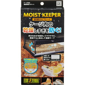 ジェックス|GEX エキゾテラ 調湿防カビプレート