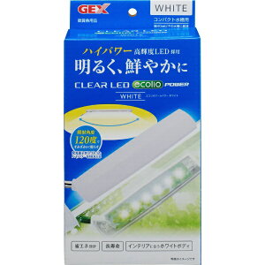 WFbNXbGEX NALED GRIA[ p[ zCg