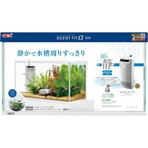 WFbNXbGEX TCgtBbgAt@500