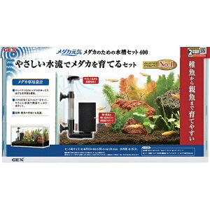 WFbNXbGEX _JC _Ĵ߂̐Zbg400