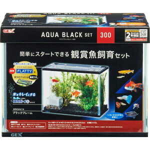 WFbNXbGEX ANAubNZbg300