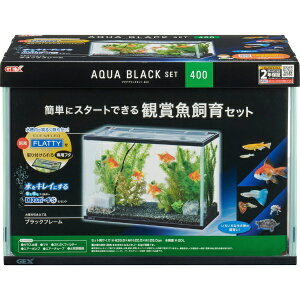 WFbNXbGEX ANAubNZbg400