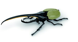 tW~͌^bFUJIMI RV[Y26 ̕ wNXIIJug yzsz