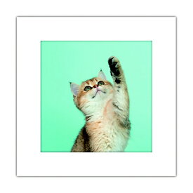 まいにち｜Mainichi アートトワレ ねこ ねこ