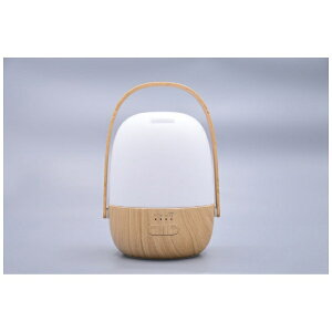 ヤマゼン|YAMAZEN 超音波式 アロマディフューザー Healing scent(ヒーリングセント) LDX-123(M)