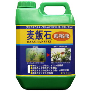 \lP~t@bsone chemiphar ѐΔZkt 2000mL