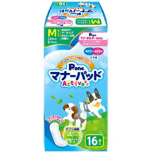 qށbdaiichi eizai j̎q̎qp }i[pbhActive MTCY 16