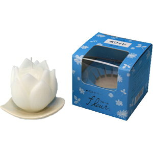 ���C���X�bTOKAI-SEIRO �낤���� �t���[�� ��t �z���C�g 148-W