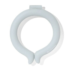 GtI[C^[iVibF.O.INTERNATIONAL SUO ICE RINGiIgiMj TbNXinj