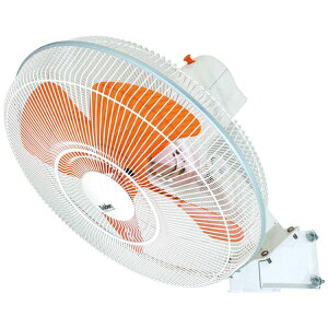 XCfbSuiden XCf@Hi^@jǊ|@A~nl50cm@Sh^ SF-50D2-3A y[J[EsEԎwEԕisz