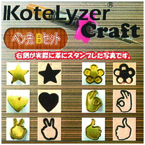 󏤁bHOSHO ReCU[@ReCU[NtgpyBZbg WT-02 y[J[EsEԎwEԕisz