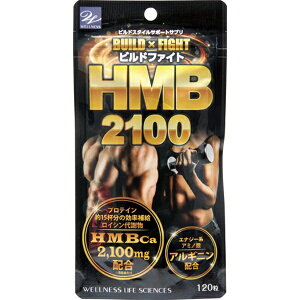 �E�G���l�X���C�t�T�C�G���X�bWELLNESS LIFE SCIENCES �r���h�t�@�C�gHMB2100 120��