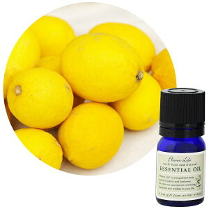 t[o[CtЁbFlavor Life t[o[Ct GbZVIC ˓ 3ml