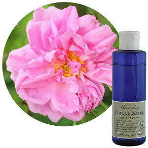 t[o[CtЁbFlavor Life t[EH[^[ [Y 200ml