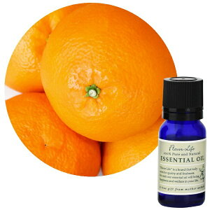 t[o[CtЁbFlavor Life t[o[Ct GbZVIC 悩 10ml