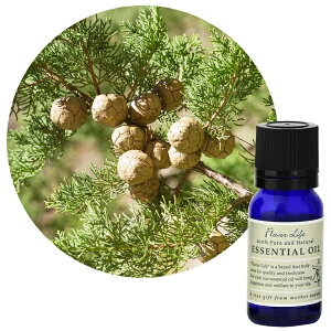 t[o[CtЁbFlavor Life t[o[Ct GbZVIC TCvX 10ml