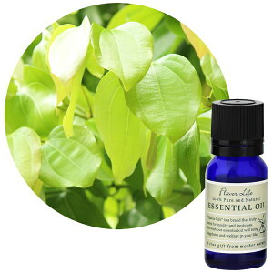 t[o[CtЁbFlavor Life t[o[Ct GbZVIC Vi[t 10ml