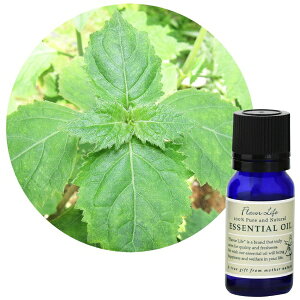 t[o[CtЁbFlavor Life t[o[Ct GbZVIC p` 10ml